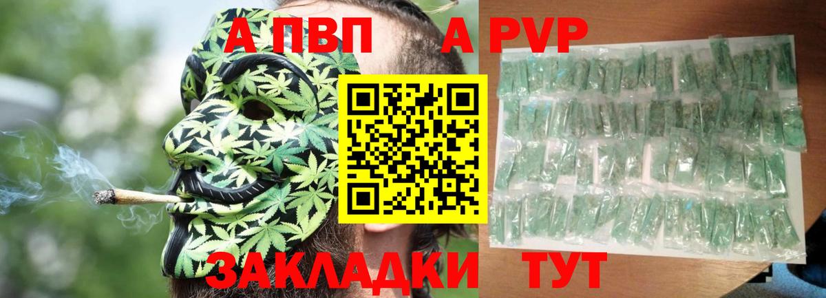 Alfa_PVP СК КРИС Кострома