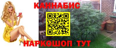 Альфа ПВП Кудымкар